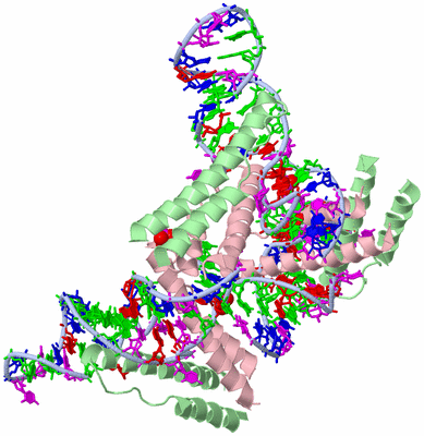 Image Biological Unit 1