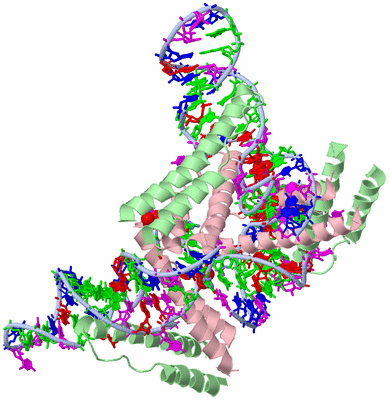 Image Biol. Unit 1 - sites