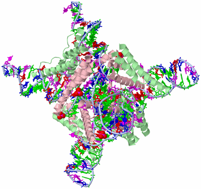 Image Biological Unit 2