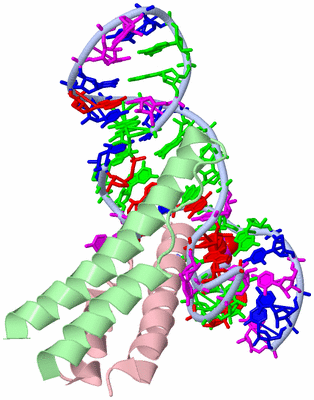 Image Asym. Unit - sites