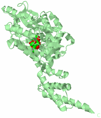 Image Biological Unit 2