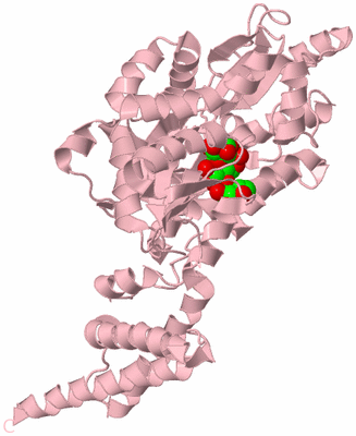 Image Biological Unit 3