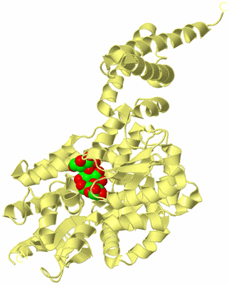 Image Biological Unit 4