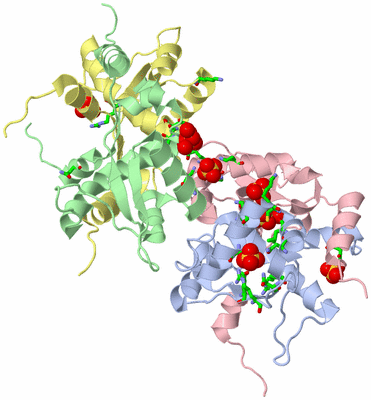 Image Asym./Biol. Unit - sites