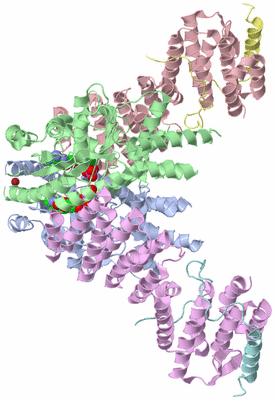 Image Asym./Biol. Unit