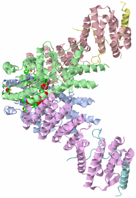 Image Asym./Biol. Unit - sites