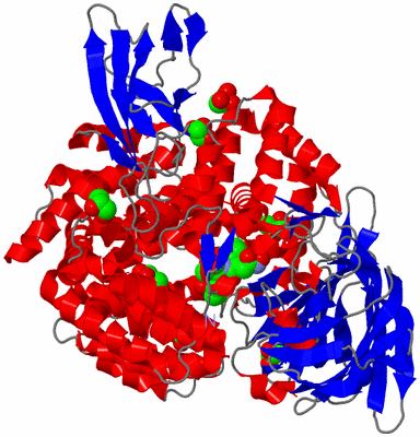 Image Asym./Biol. Unit