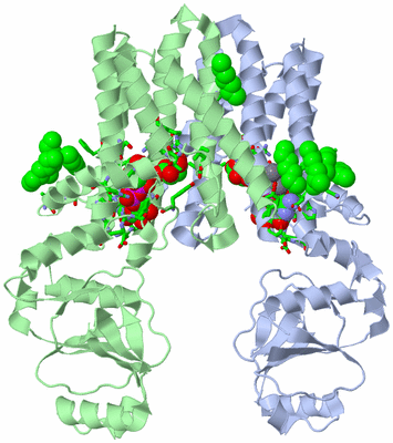 Image Asym./Biol. Unit - sites