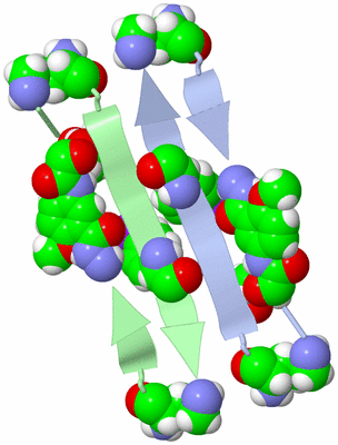 Image Asymmetric Unit