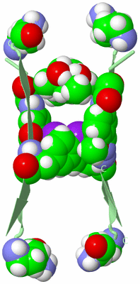 Image Biological Unit 3