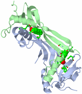 Image Asym. Unit - sites