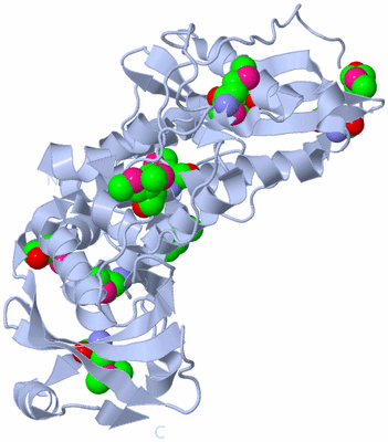 Image Biol. Unit 1 - sites