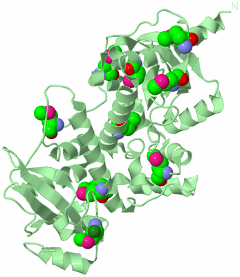 Image Biological Unit 2