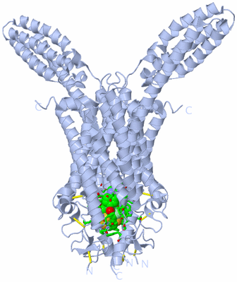 Image Biol. Unit 1 - sites