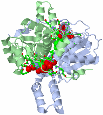 Image Biol. Unit 1 - sites