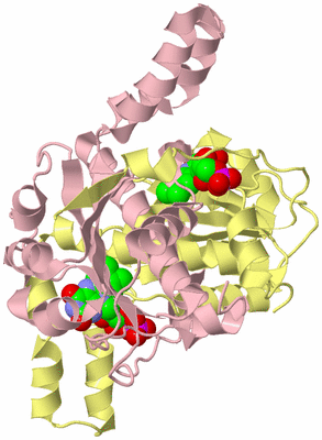 Image Biological Unit 2