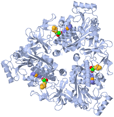 Image Biological Unit 1