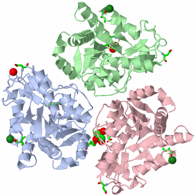 Image Asym./Biol. Unit - sites