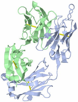 Image Biological Unit 1