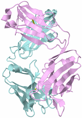 Image Biological Unit 3