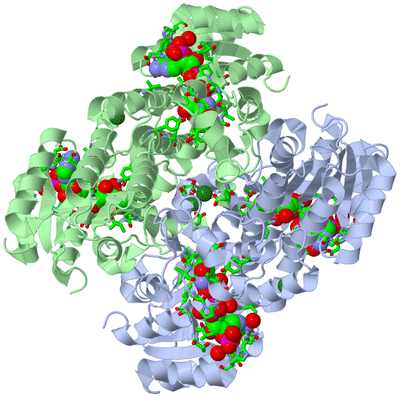 Image Biol. Unit 1 - sites