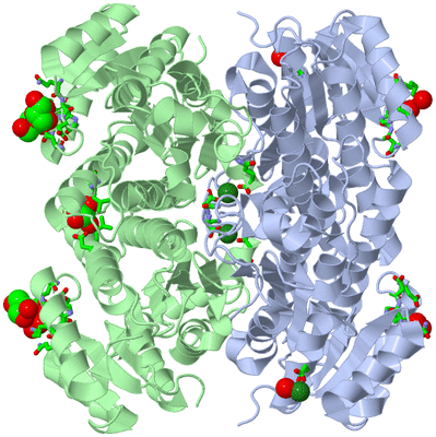 Image Biol. Unit 1 - sites