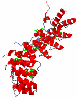 Image Asym. Unit - sites