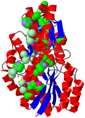 Image Asym./Biol. Unit