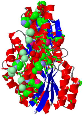 Image Asym./Biol. Unit - sites