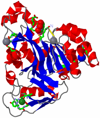 Image Asym./Biol. Unit - sites