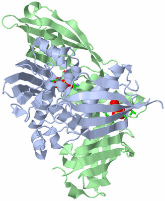 Image Biol. Unit 1 - sites