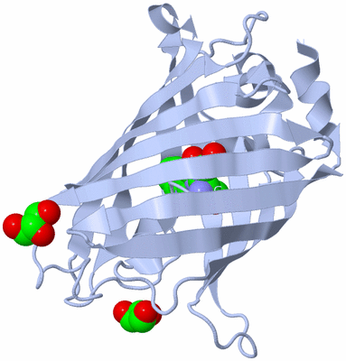 Image Biological Unit 1