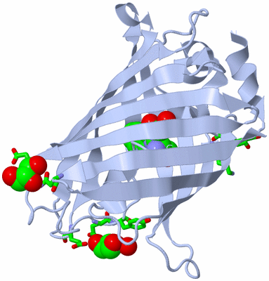 Image Biol. Unit 1 - sites