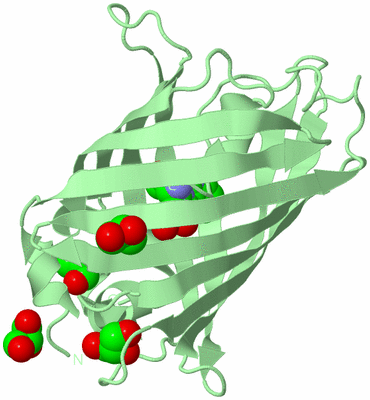 Image Biological Unit 2