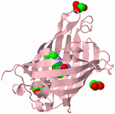 Image Biological Unit 3