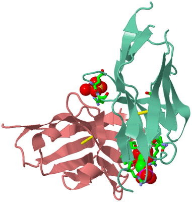 Image Biol. Unit 1 - sites