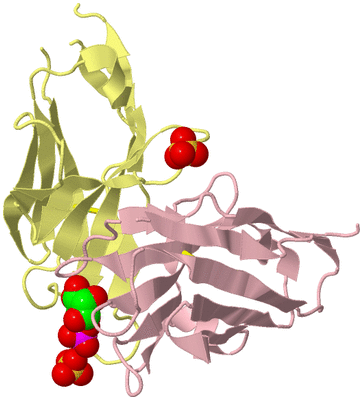 Image Biological Unit 3