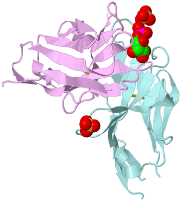 Image Biological Unit 4