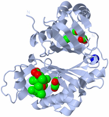 Image Biological Unit 1