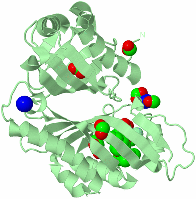 Image Biological Unit 2