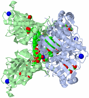 Image Biological Unit 3