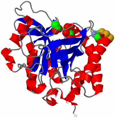 Image Asym./Biol. Unit