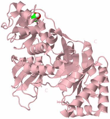 Image Biological Unit 3