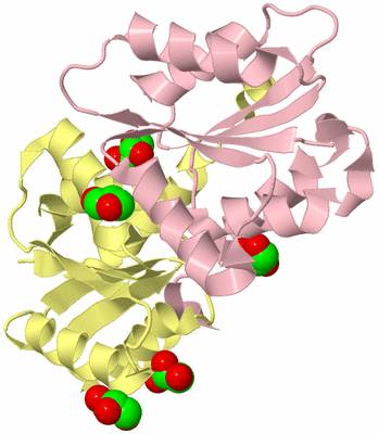 Image Biological Unit 2