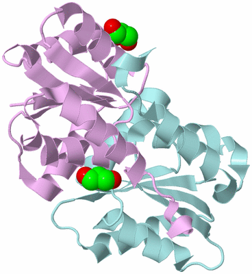 Image Biological Unit 3