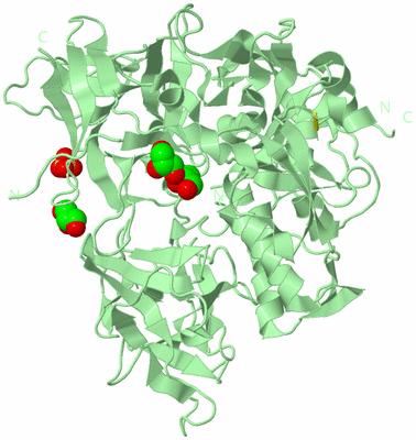 Image Biological Unit 2