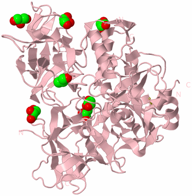 Image Biological Unit 3