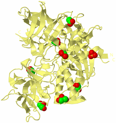 Image Biological Unit 4