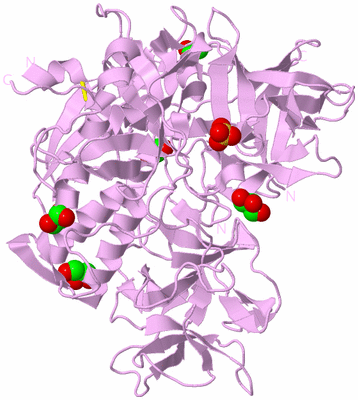 Image Biological Unit 5