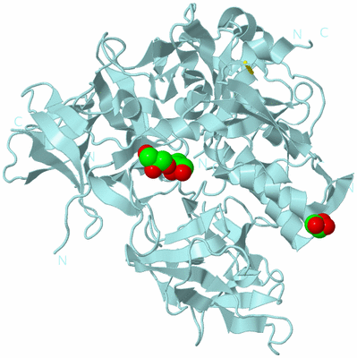 Image Biological Unit 6